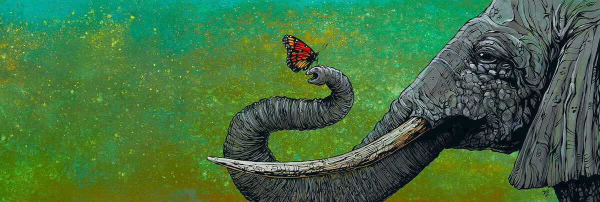 David Lozeau - The Elephant