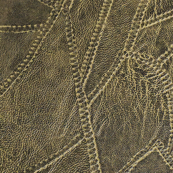 Miezse Cactus