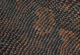 BALBOA BRANDY (BROWN)