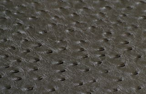 SOLA OLIVE (GREEN)