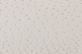 SOLA PEARL (NEUTRAL)